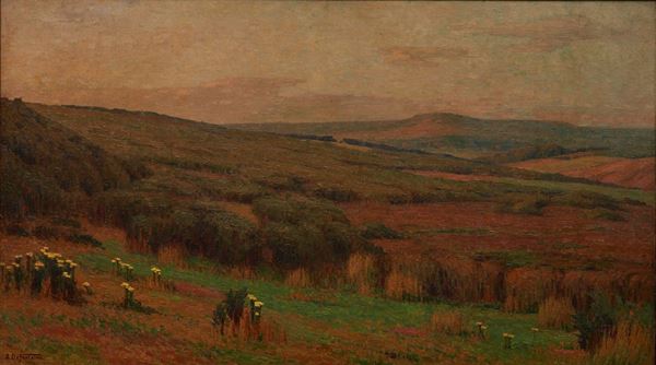 Paesaggio campagna