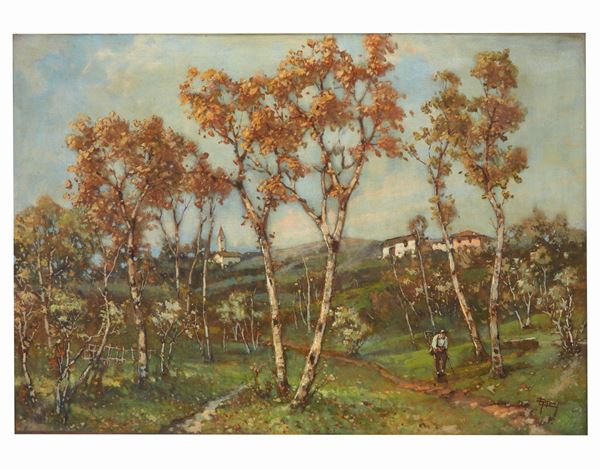 Sentiero con alberi, case, uomo