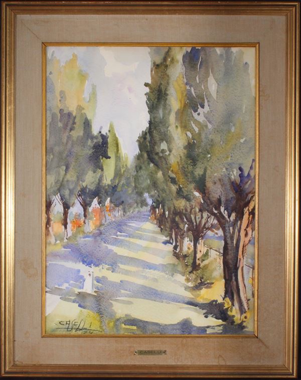 Caselli - Bolgheri - Gennaio 1974