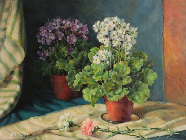 Alfio Paolo Graziani - Gerani