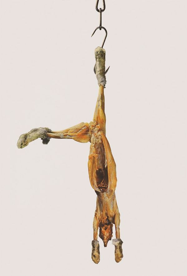 Coniglio  (1972)  - Asta Dipinti di Arte Moderna, Contemporanea e XIX Secolo - Casa d'Aste International Art Sale