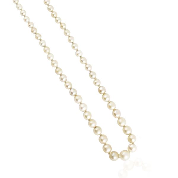 NATURAL PEARL NECKLACE WITH GOLD CLASP