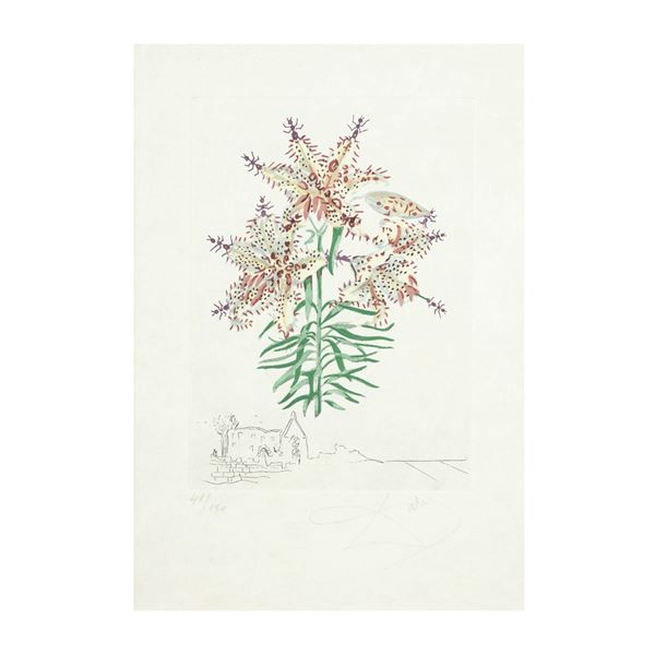 SALVADOR DALI' : Orchidee e formiche  - Acquaforte - Auction MODERN AND CONTEMPORARY ART - Casa d'Aste International Art Sale