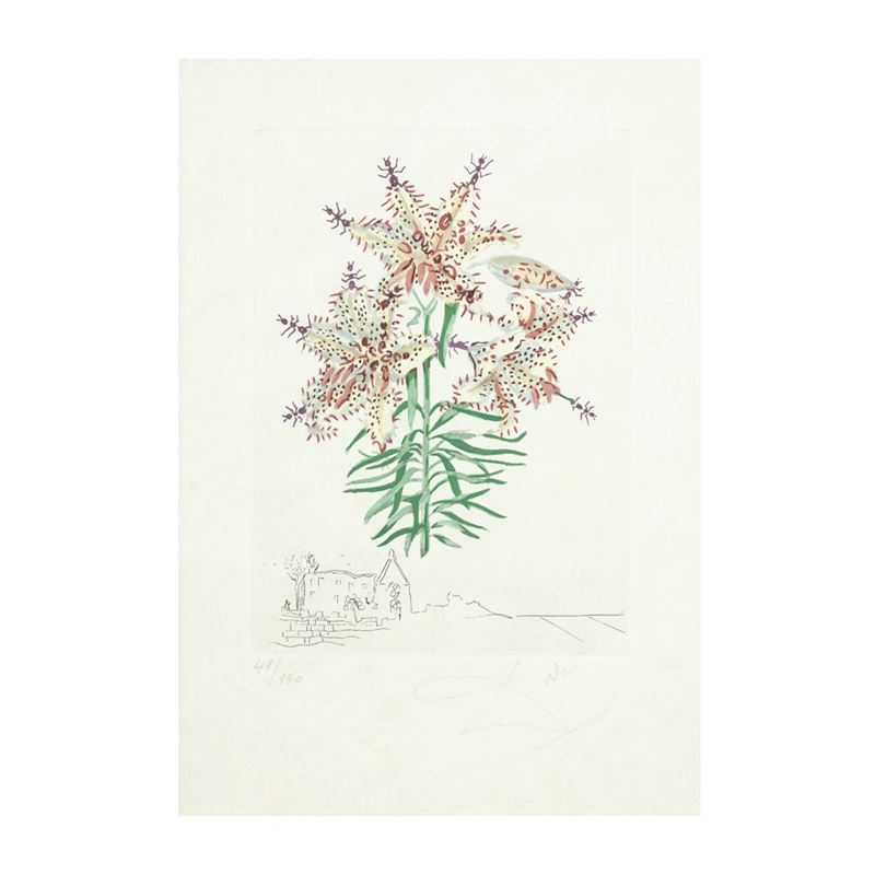 Orchidee e formiche