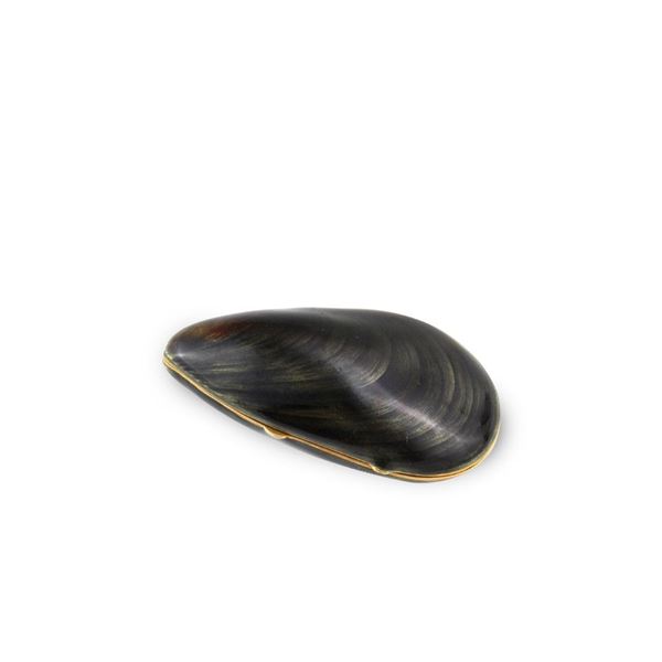 PORTAPILLOLE