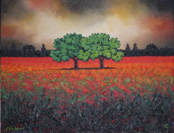 Campo di papaveri, 1999