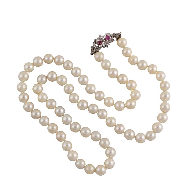 COLLANA