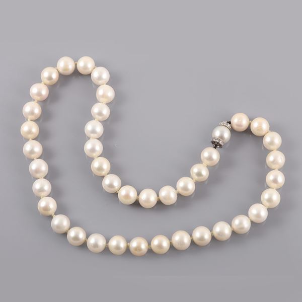 COLLANA
