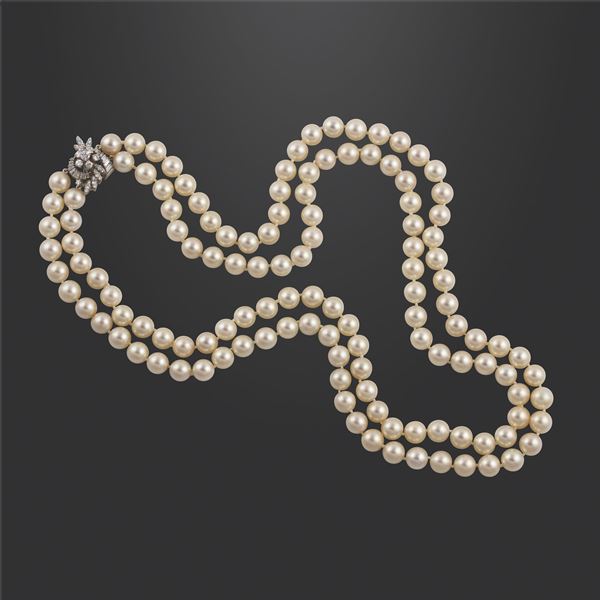 COLLANA