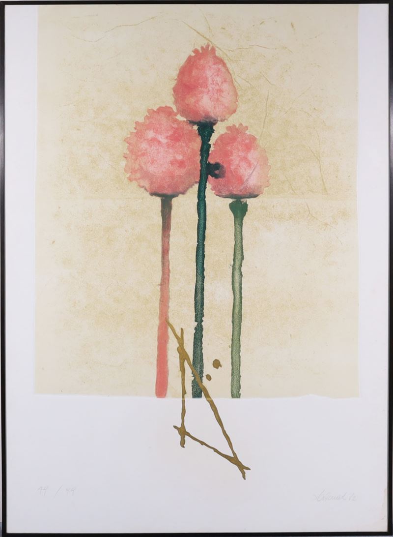 Tulipani