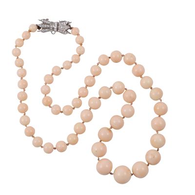 ~ Collana