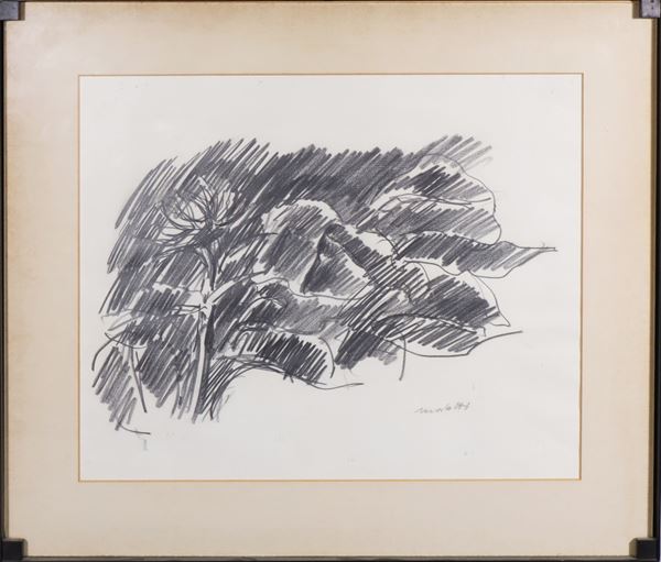 ENNIO MORLOTTI : Vegetation  - Graphite on paper - Auction MODERN AND CONTEMPORARY ART - Casa d'Aste International Art Sale