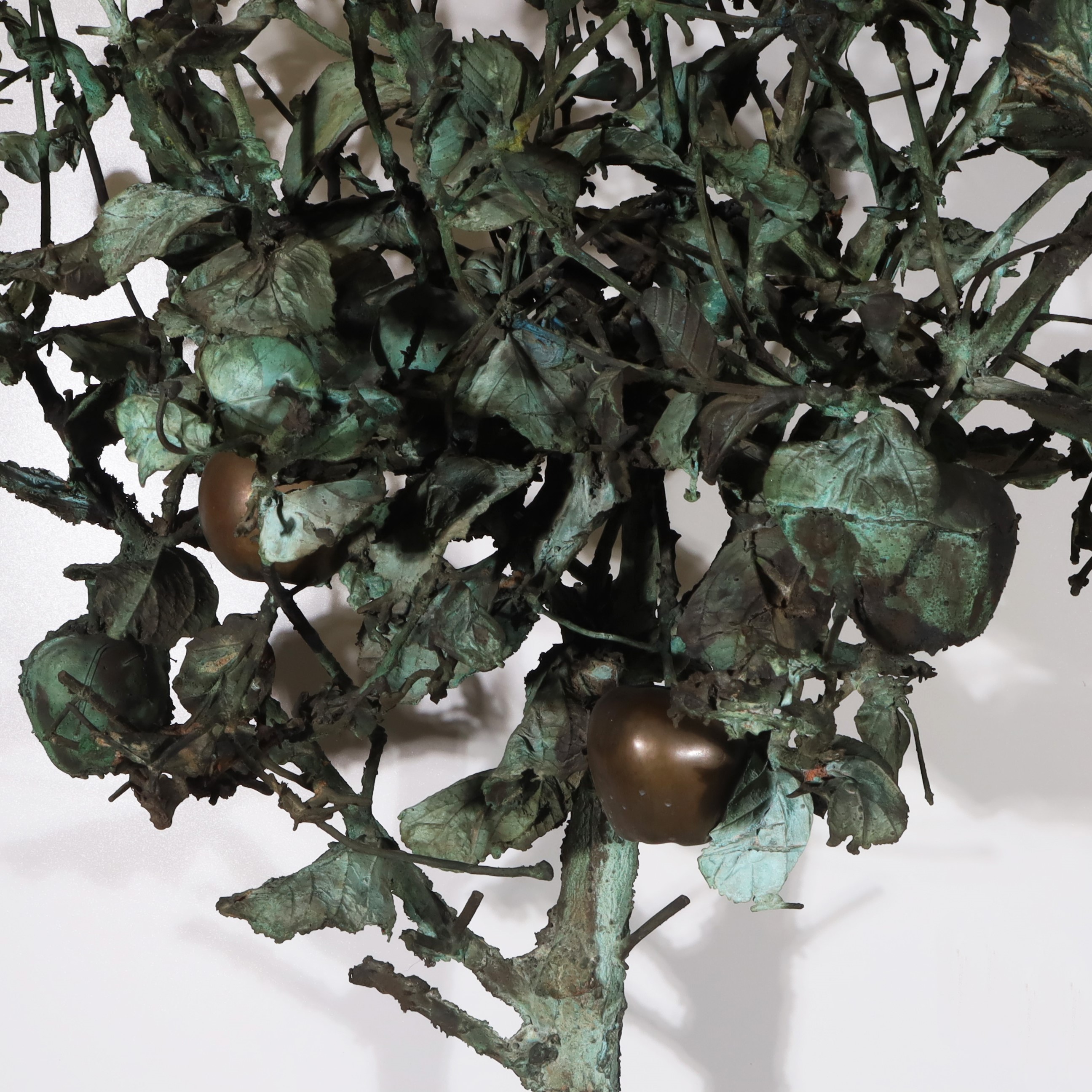 Mezzo albero di mele