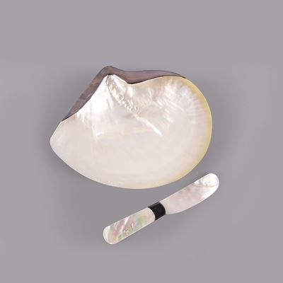 Conchiglia Portacaviale e Spatolina