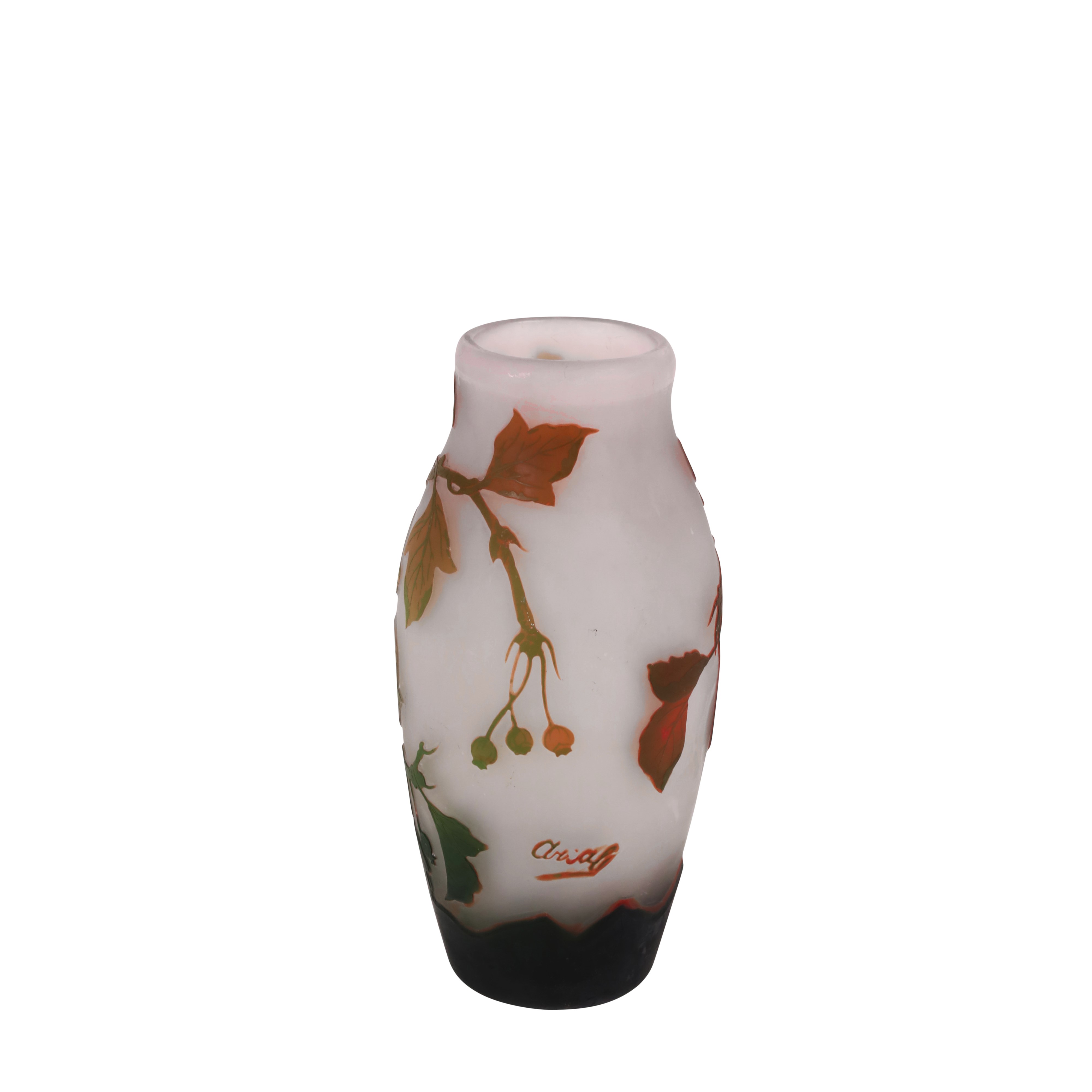 VASO