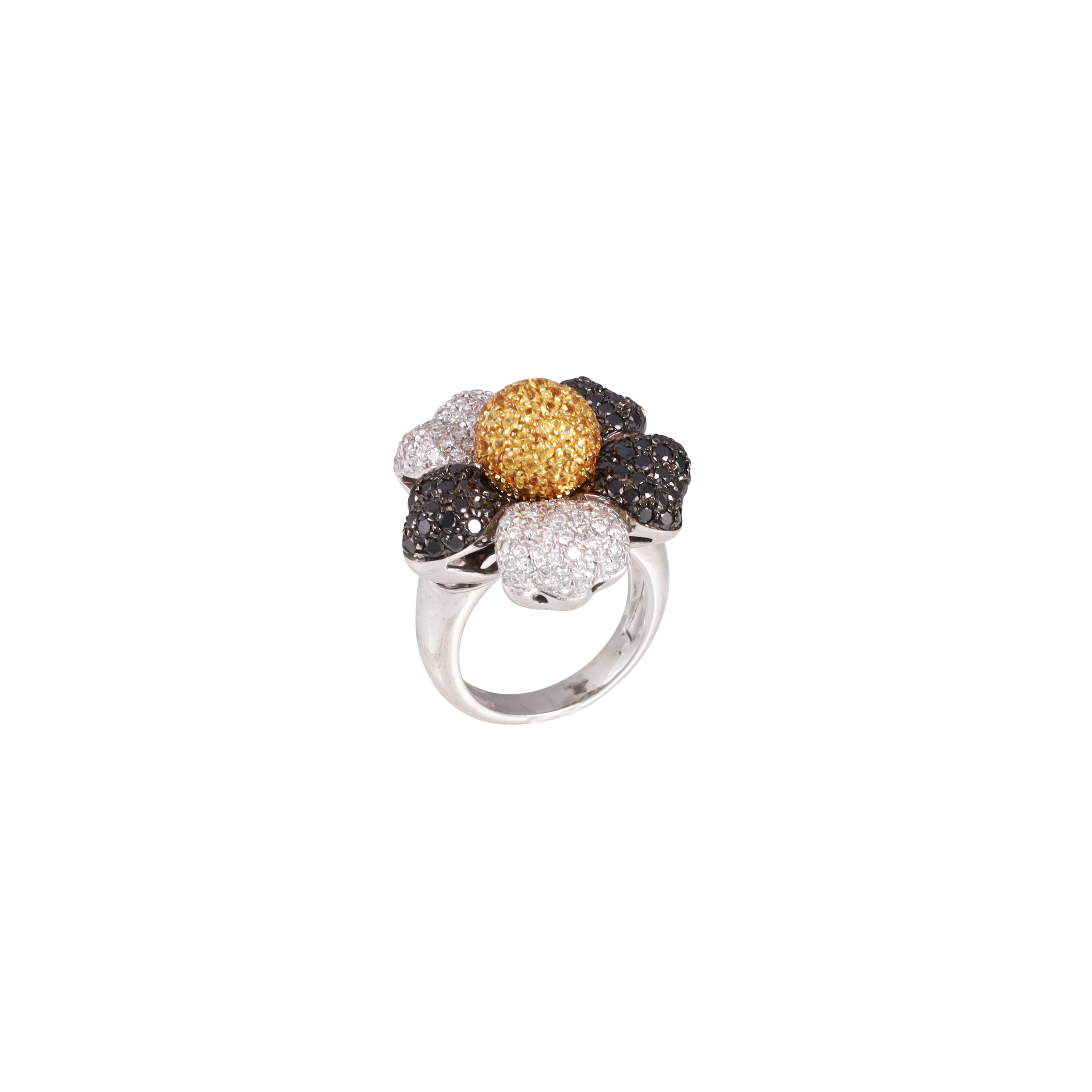 * Anello